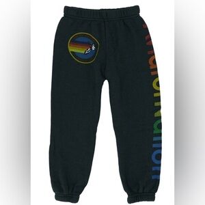 Aviator Nation Dark Gray Joggers with Rainbow Accents